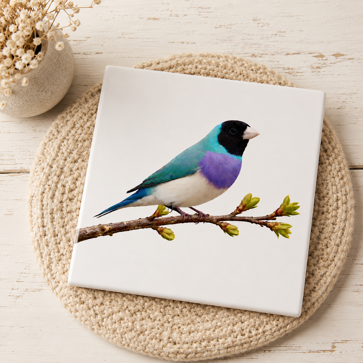 Azulejo con Diamante de Gould – Ilustración Vintage de Pájaro